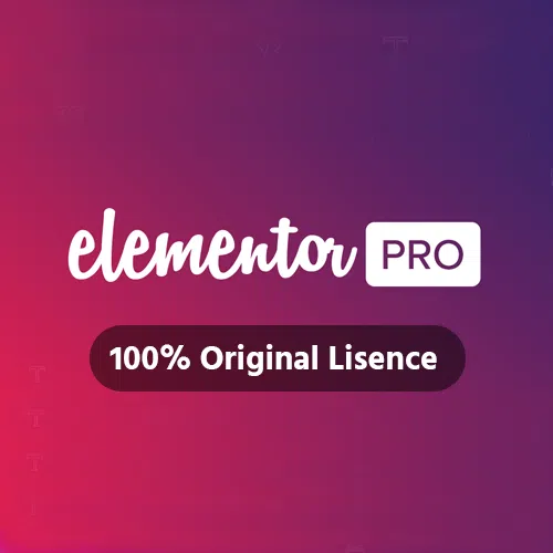 Elementor pro Plugin Elementor pro Plugin