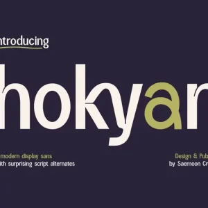 Hokyan Font